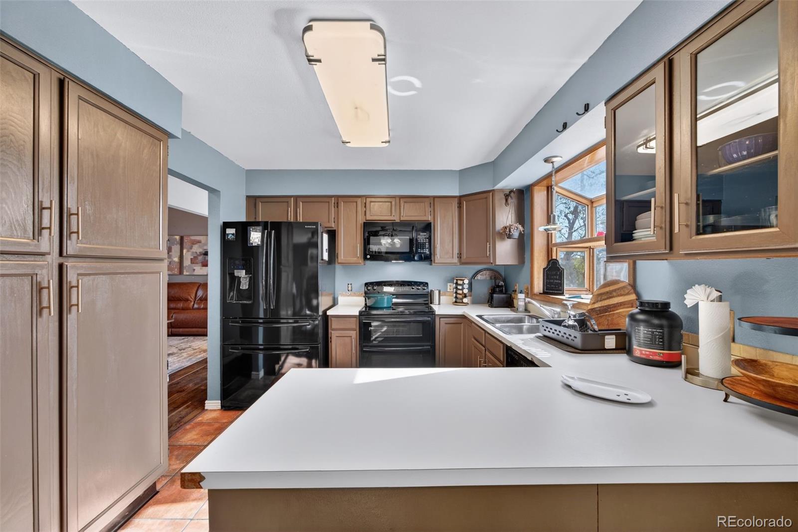 MLS Image #13 for 9222  crestmore way,highlands ranch, Colorado