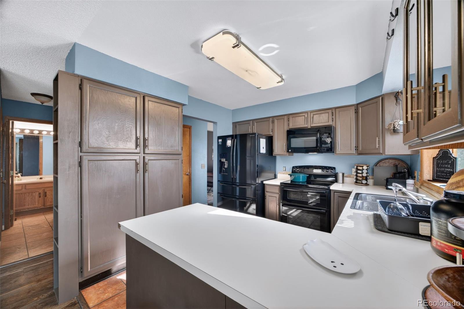 MLS Image #14 for 9222  crestmore way,highlands ranch, Colorado