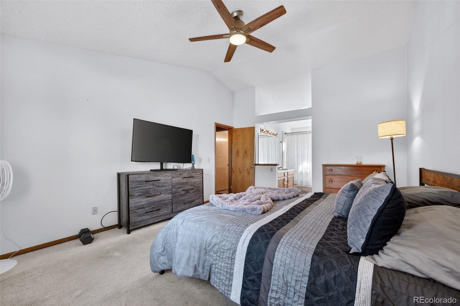 MLS Image #27 for 9222  crestmore way,highlands ranch, Colorado
