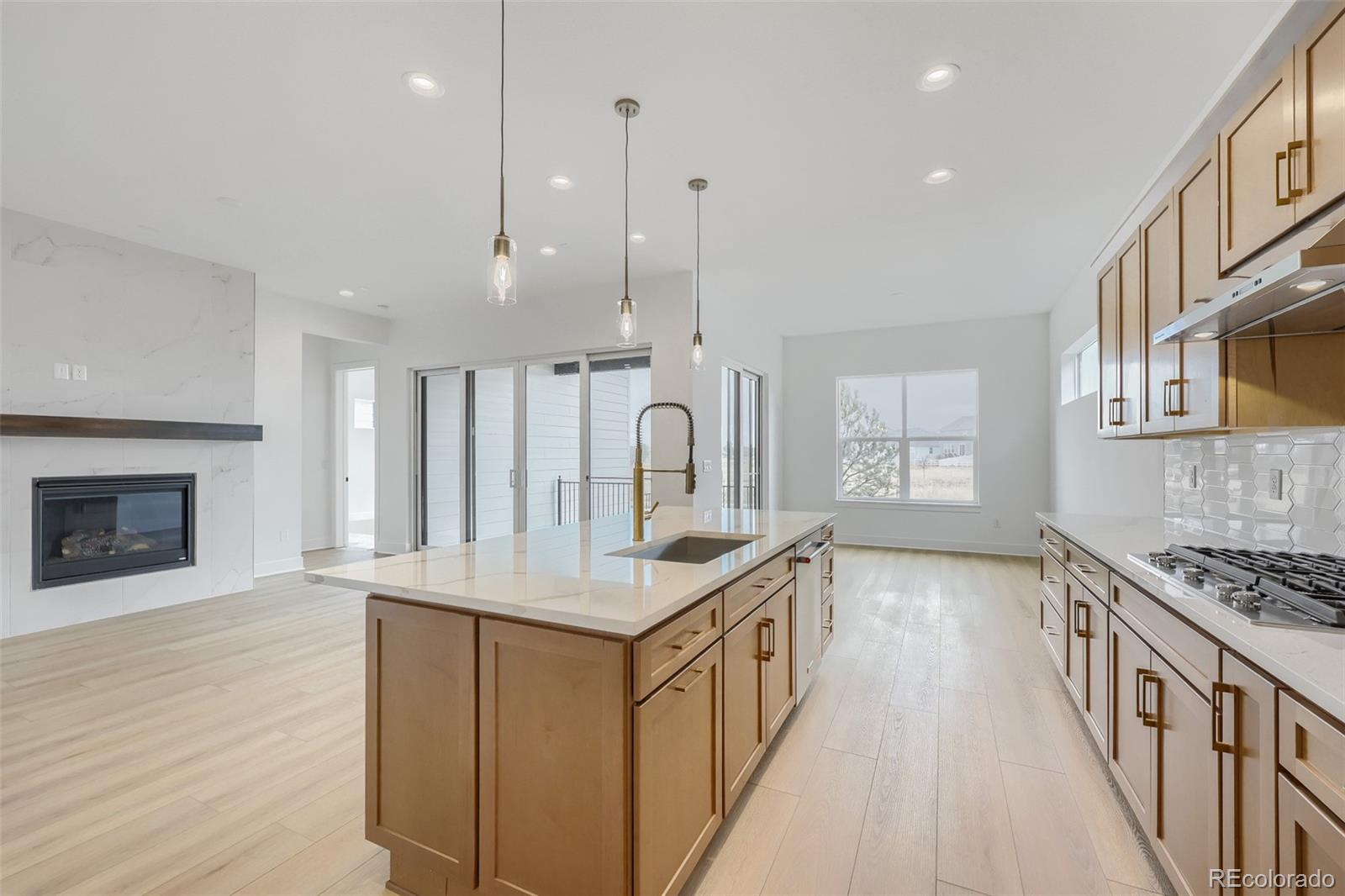 MLS Image #16 for 6314  verve lane,parker, Colorado
