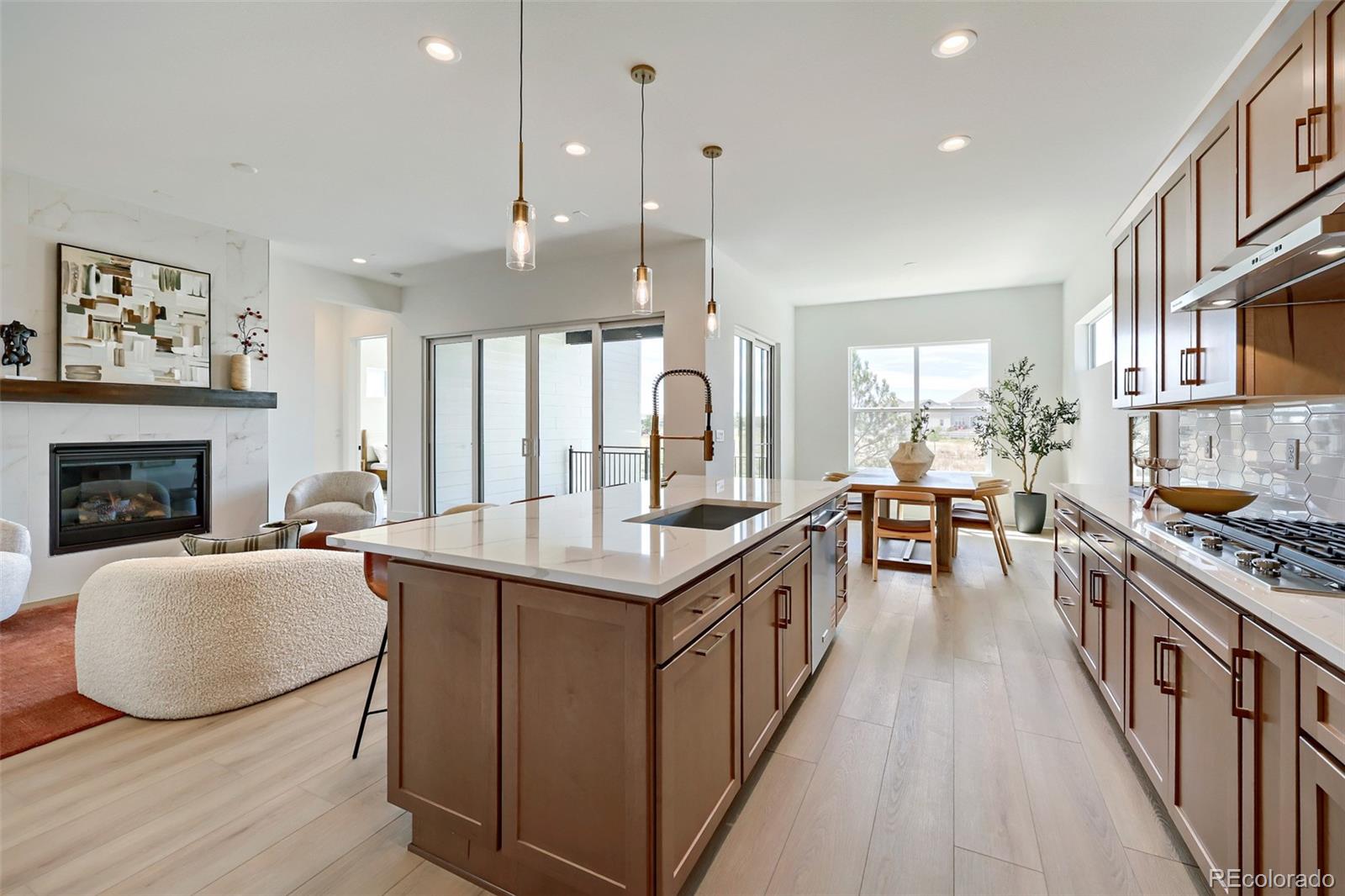 MLS Image #4 for 6314  verve lane,parker, Colorado
