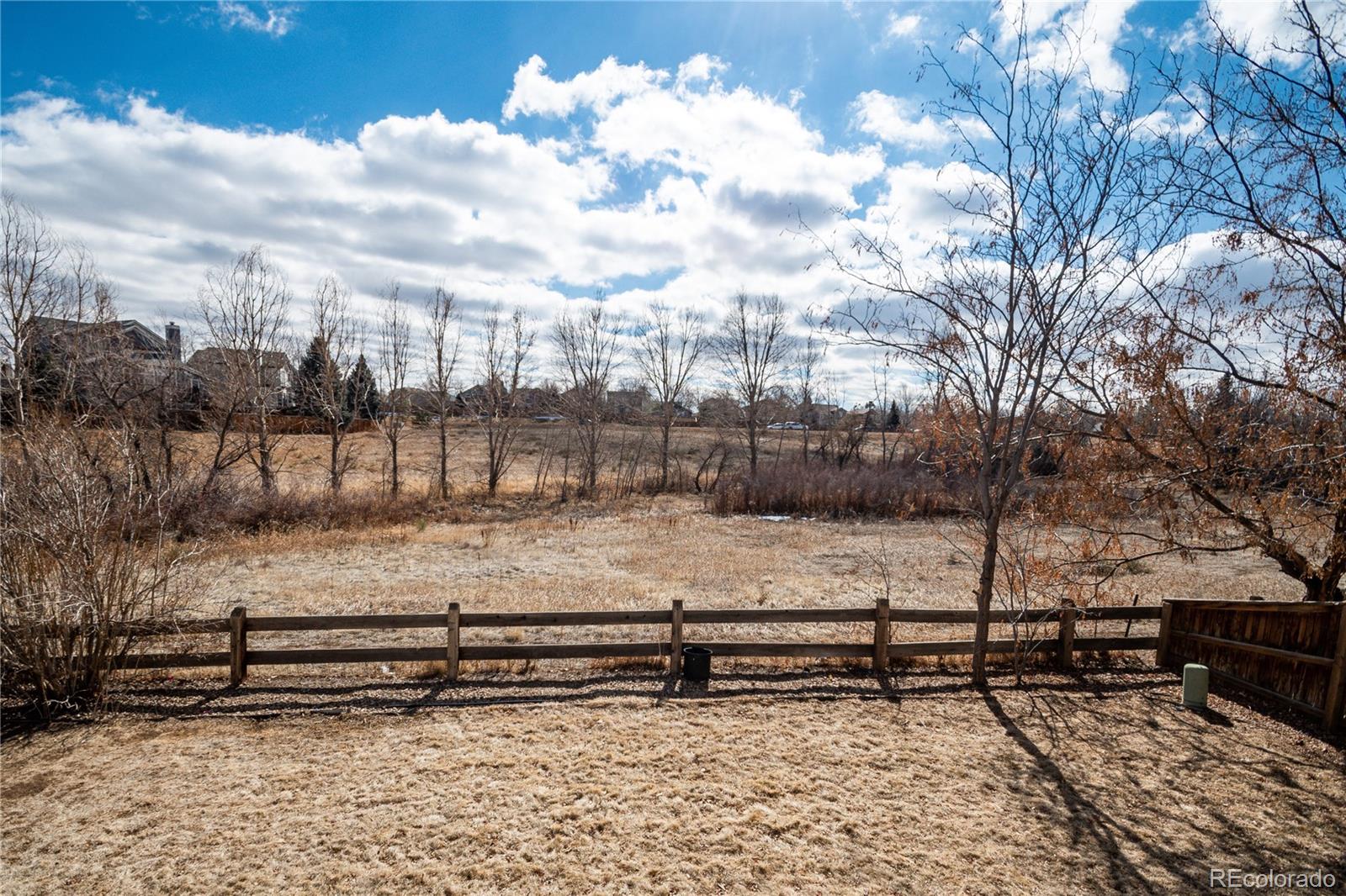 MLS Image #13 for 9476  morning glory way,highlands ranch, Colorado