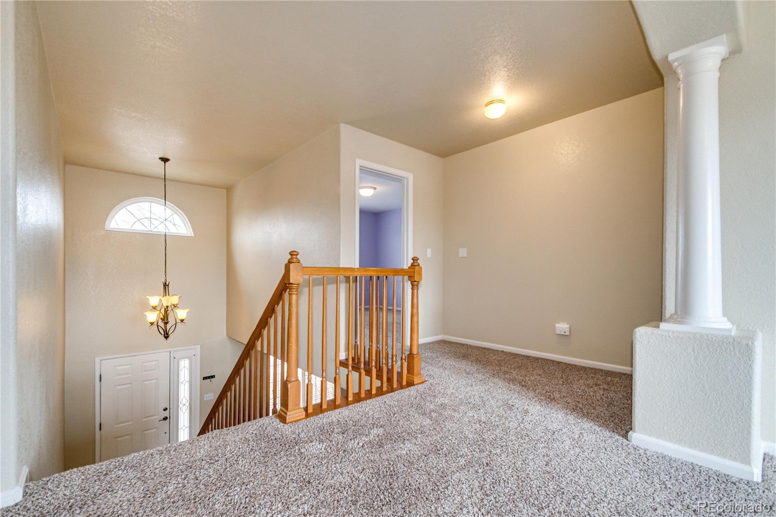 MLS Image #18 for 9476  morning glory way,highlands ranch, Colorado
