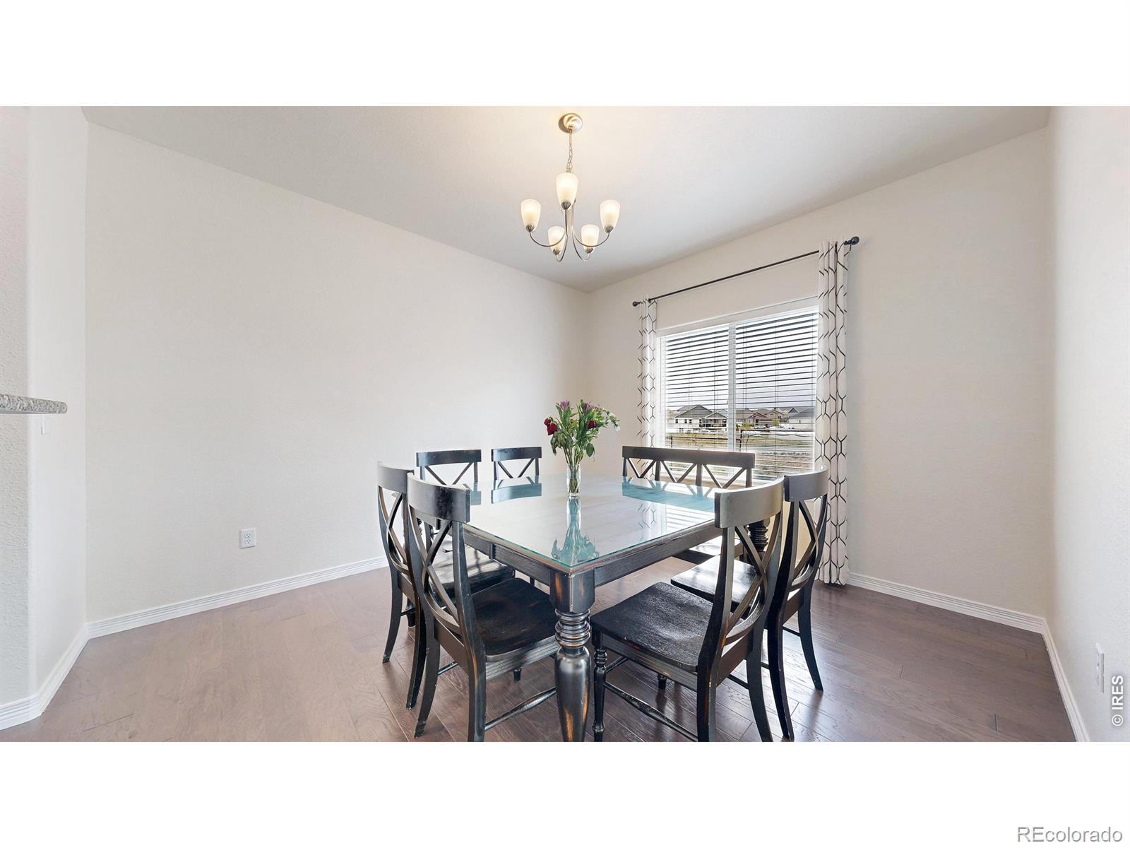 MLS Image #9 for 6173  carmon court,windsor, Colorado
