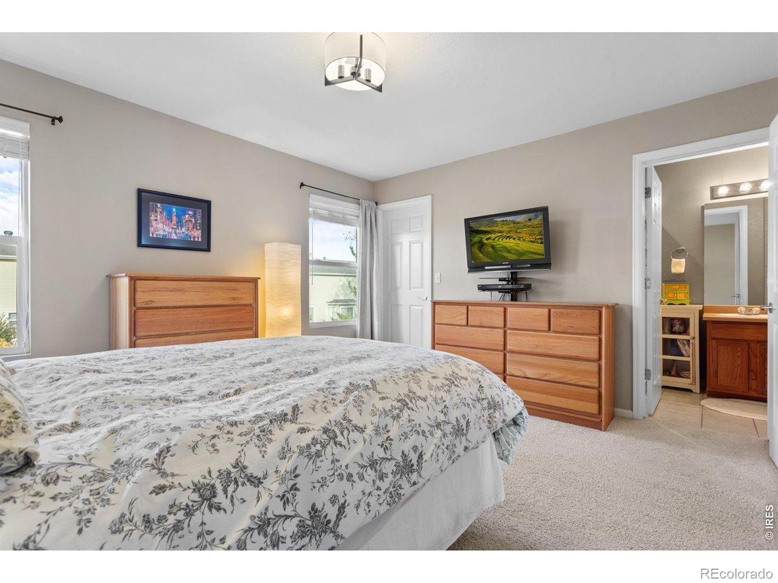 MLS Image #25 for 1147  trout creek circle,longmont, Colorado