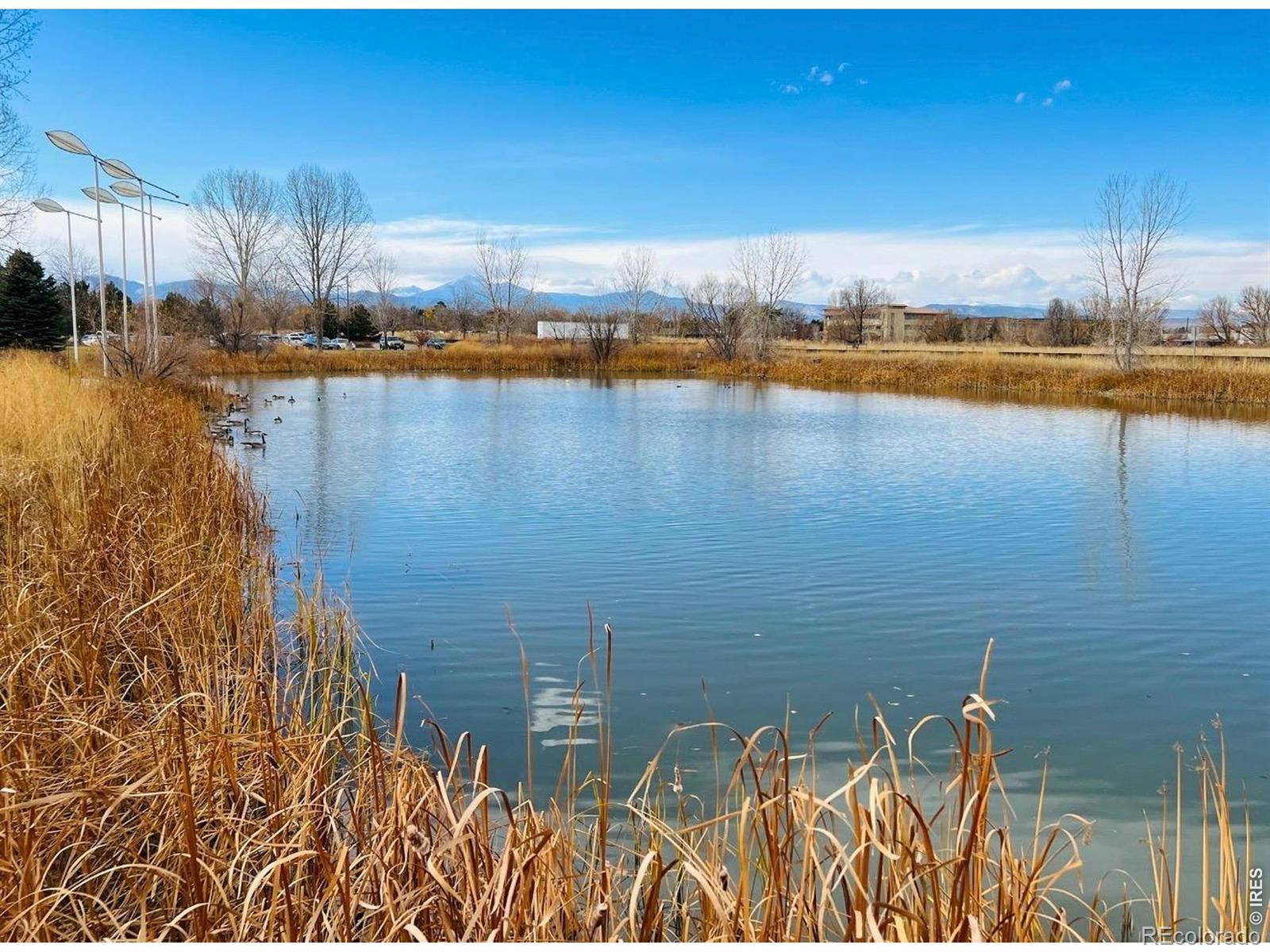 MLS Image #43 for 1147  trout creek circle,longmont, Colorado
