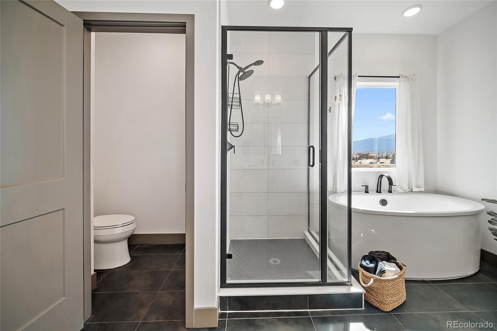 MLS Image #20 for 8860  frolic view,colorado springs, Colorado