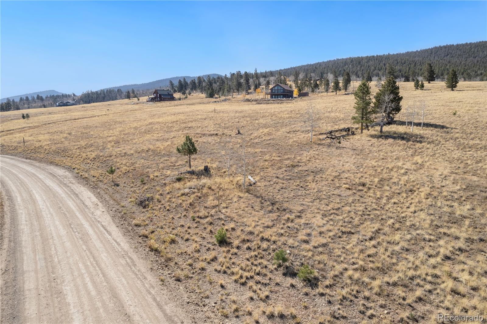MLS Image #3 for 1505  pitchfork road,hartsel, Colorado