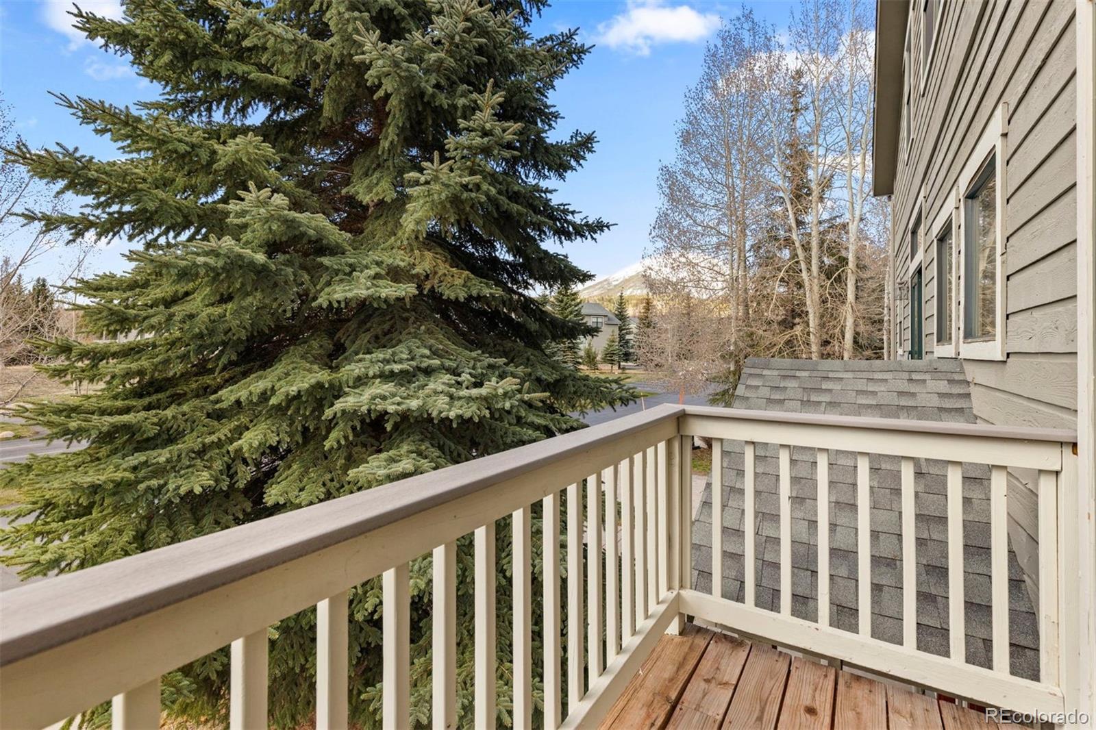 MLS Image #17 for 131  creek lane,silverthorne, Colorado