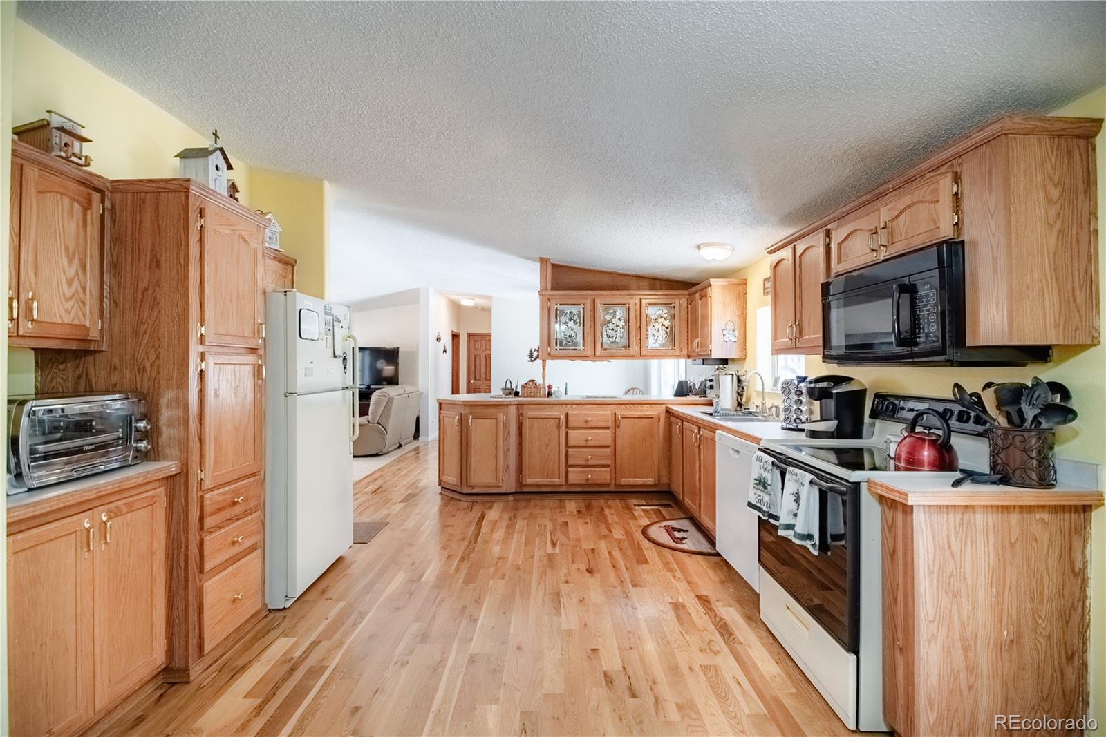 MLS Image #10 for 2675  pikes peak drive,florissant, Colorado