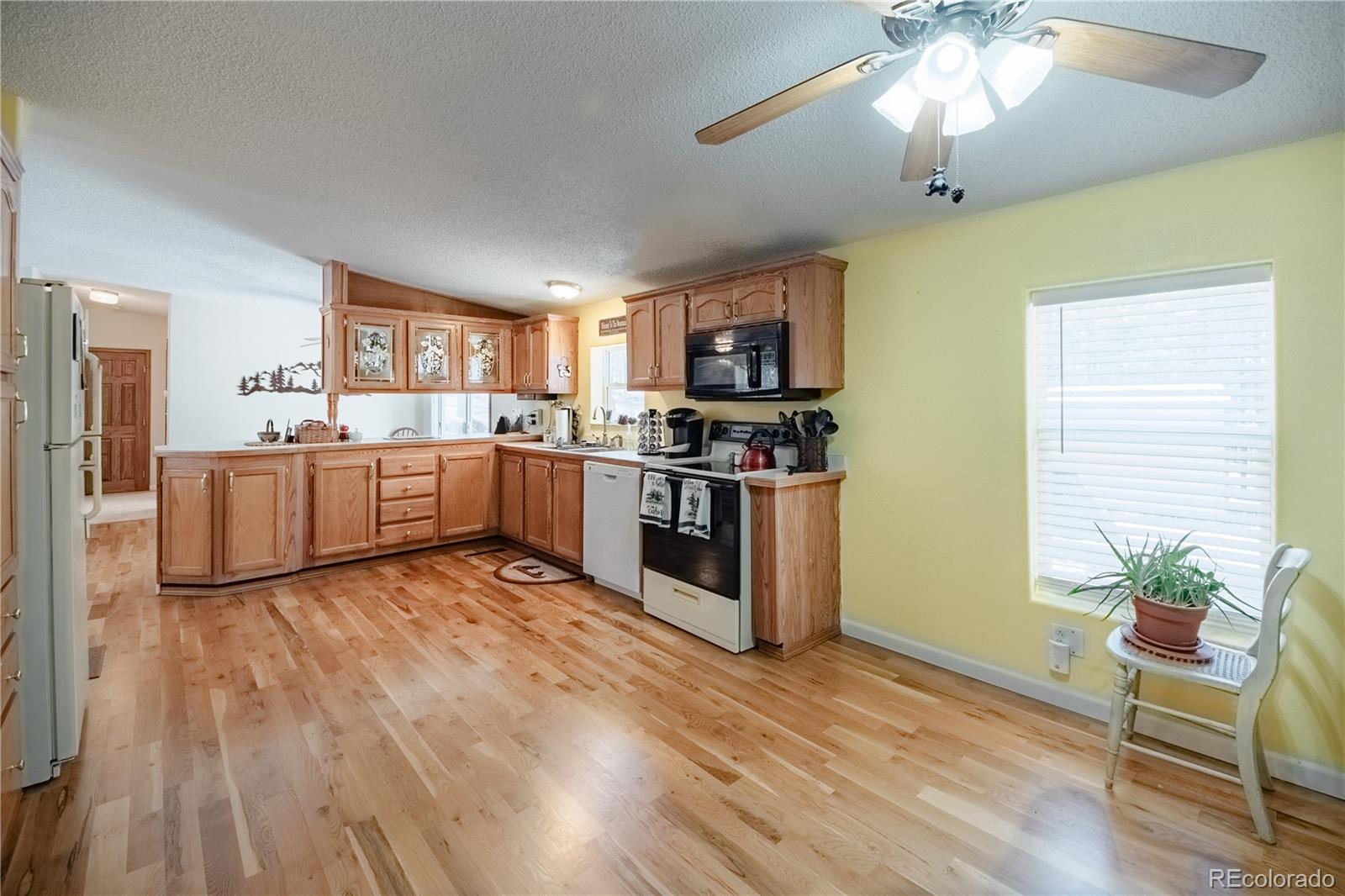 MLS Image #11 for 2675  pikes peak drive,florissant, Colorado