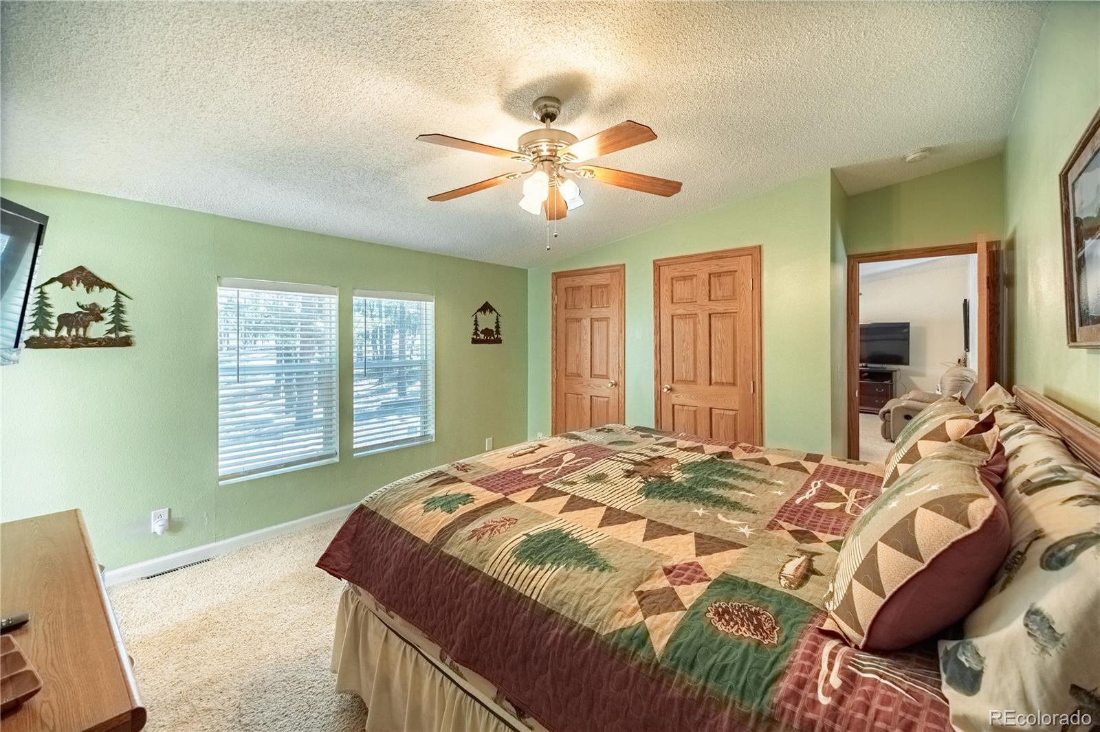 MLS Image #12 for 2675  pikes peak drive,florissant, Colorado