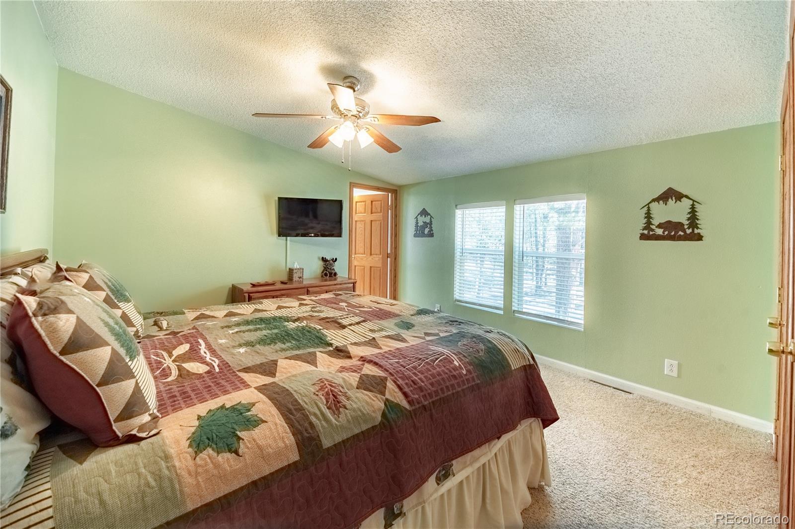 MLS Image #13 for 2675  pikes peak drive,florissant, Colorado