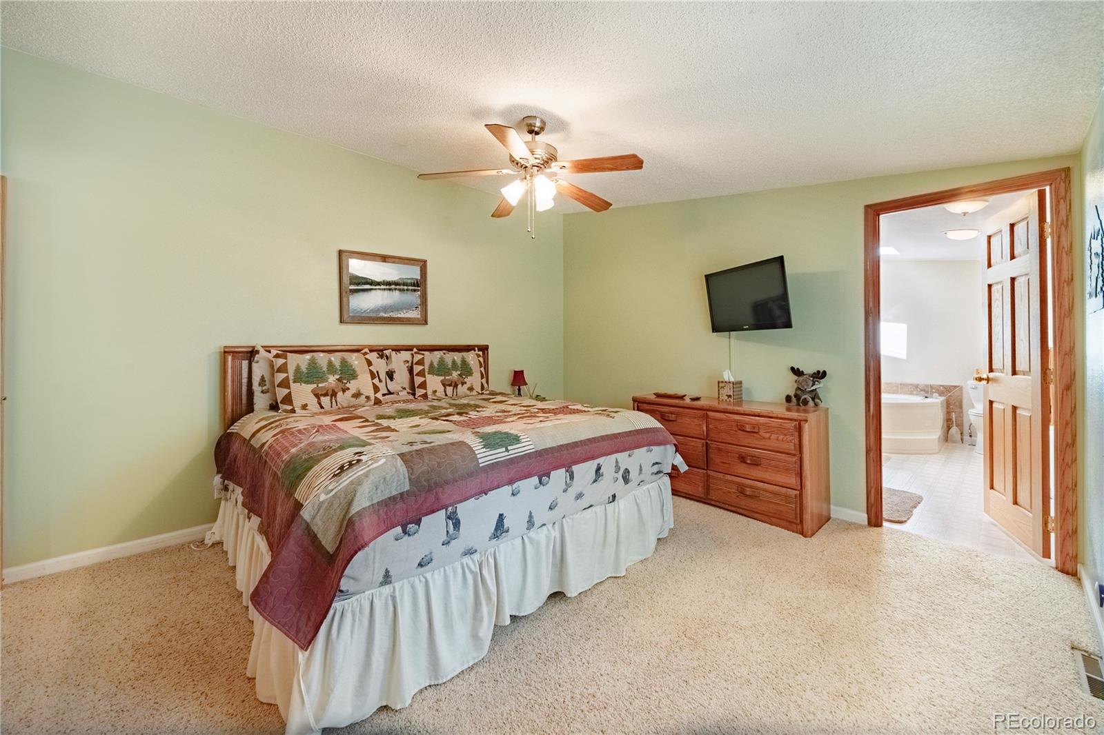 MLS Image #14 for 2675  pikes peak drive,florissant, Colorado