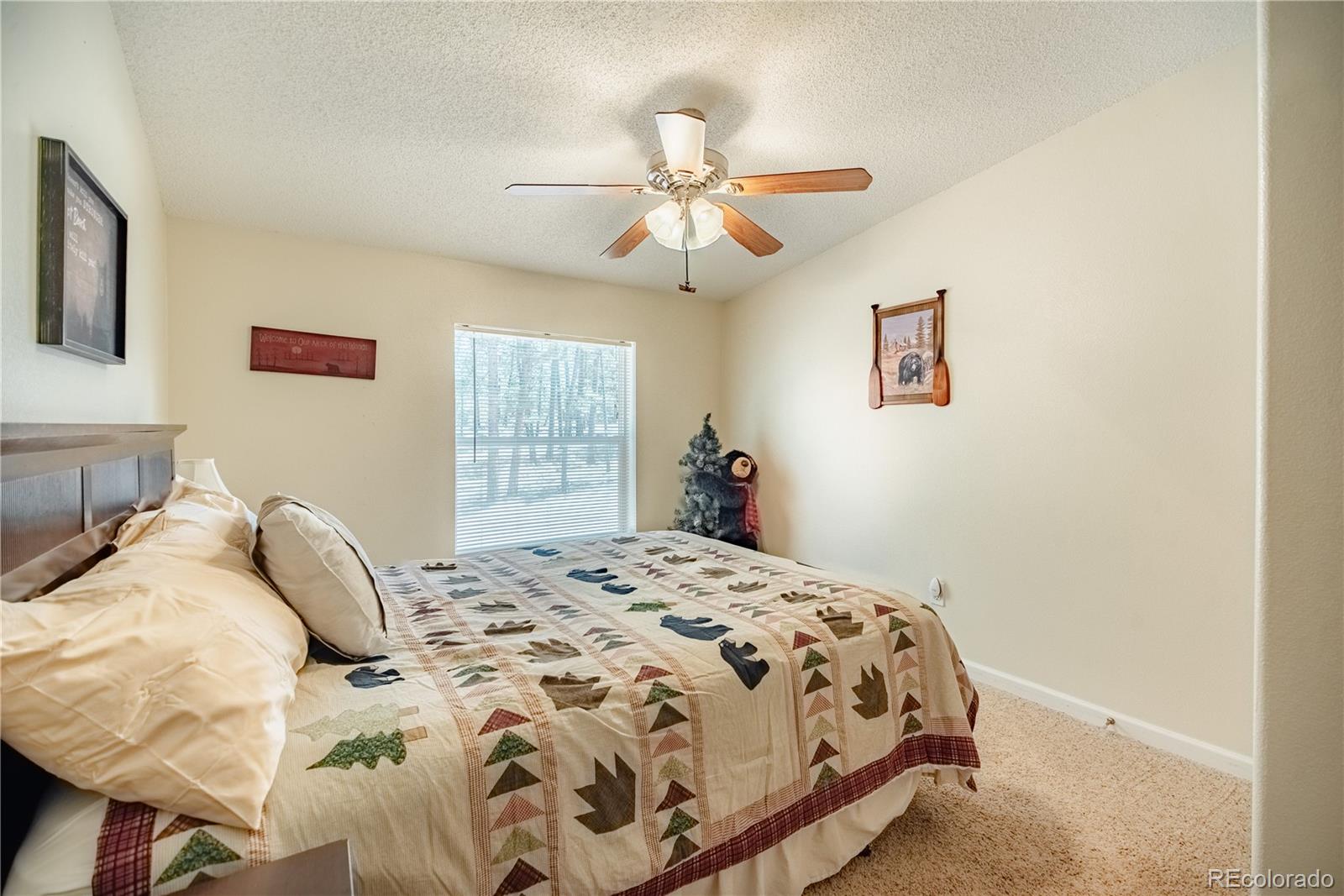MLS Image #17 for 2675  pikes peak drive,florissant, Colorado