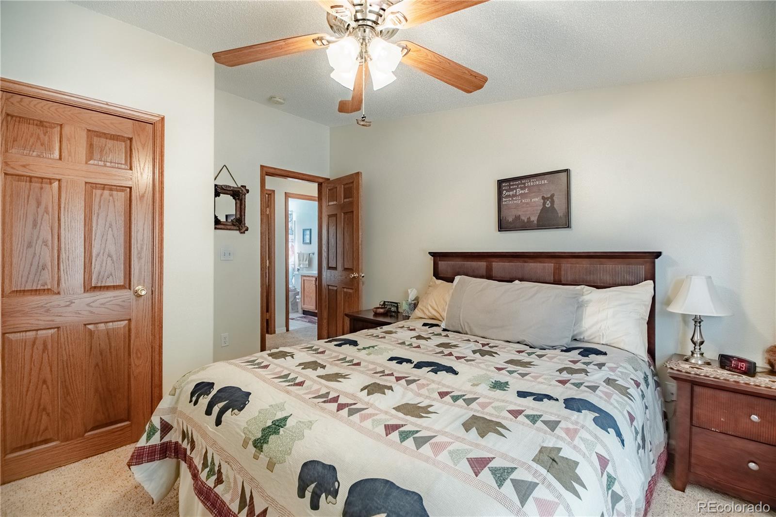 MLS Image #18 for 2675  pikes peak drive,florissant, Colorado