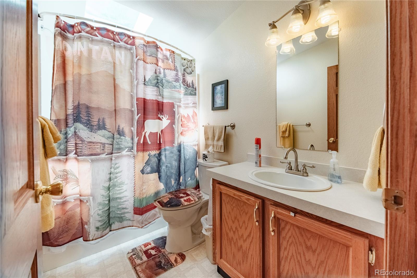 MLS Image #21 for 2675  pikes peak drive,florissant, Colorado
