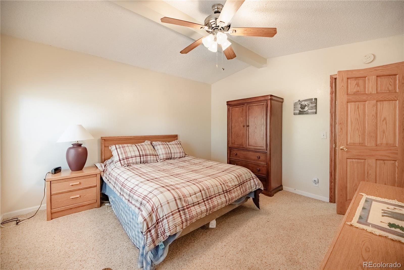 MLS Image #23 for 2675  pikes peak drive,florissant, Colorado