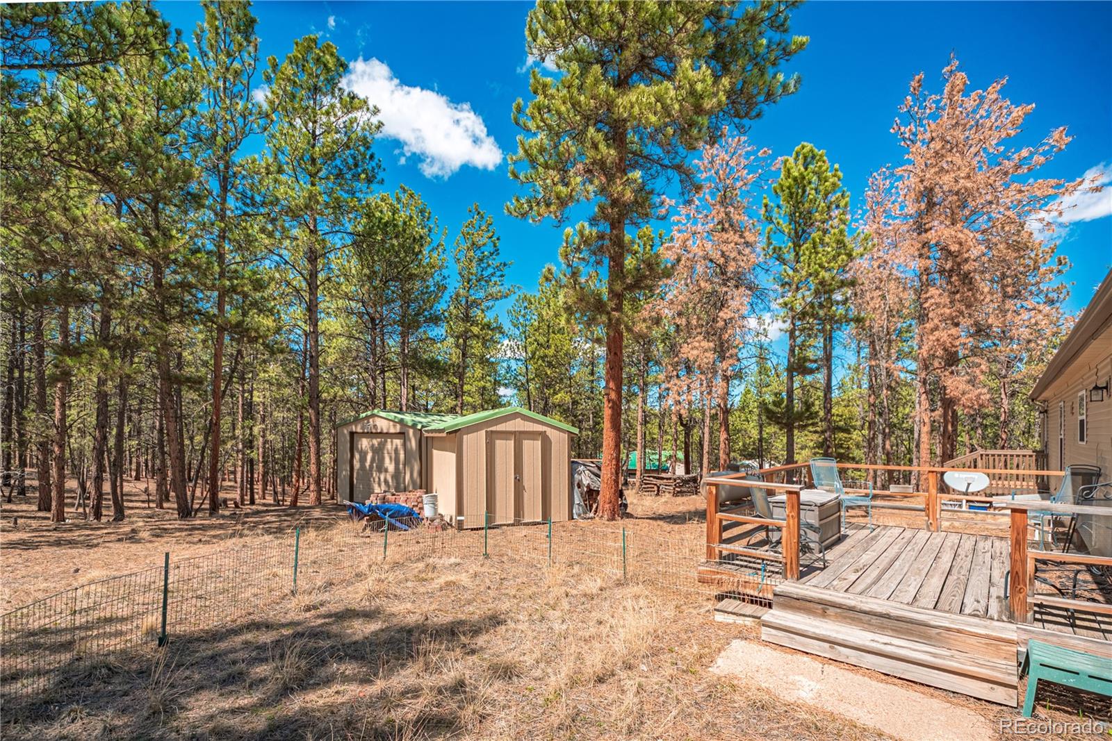 MLS Image #26 for 2675  pikes peak drive,florissant, Colorado