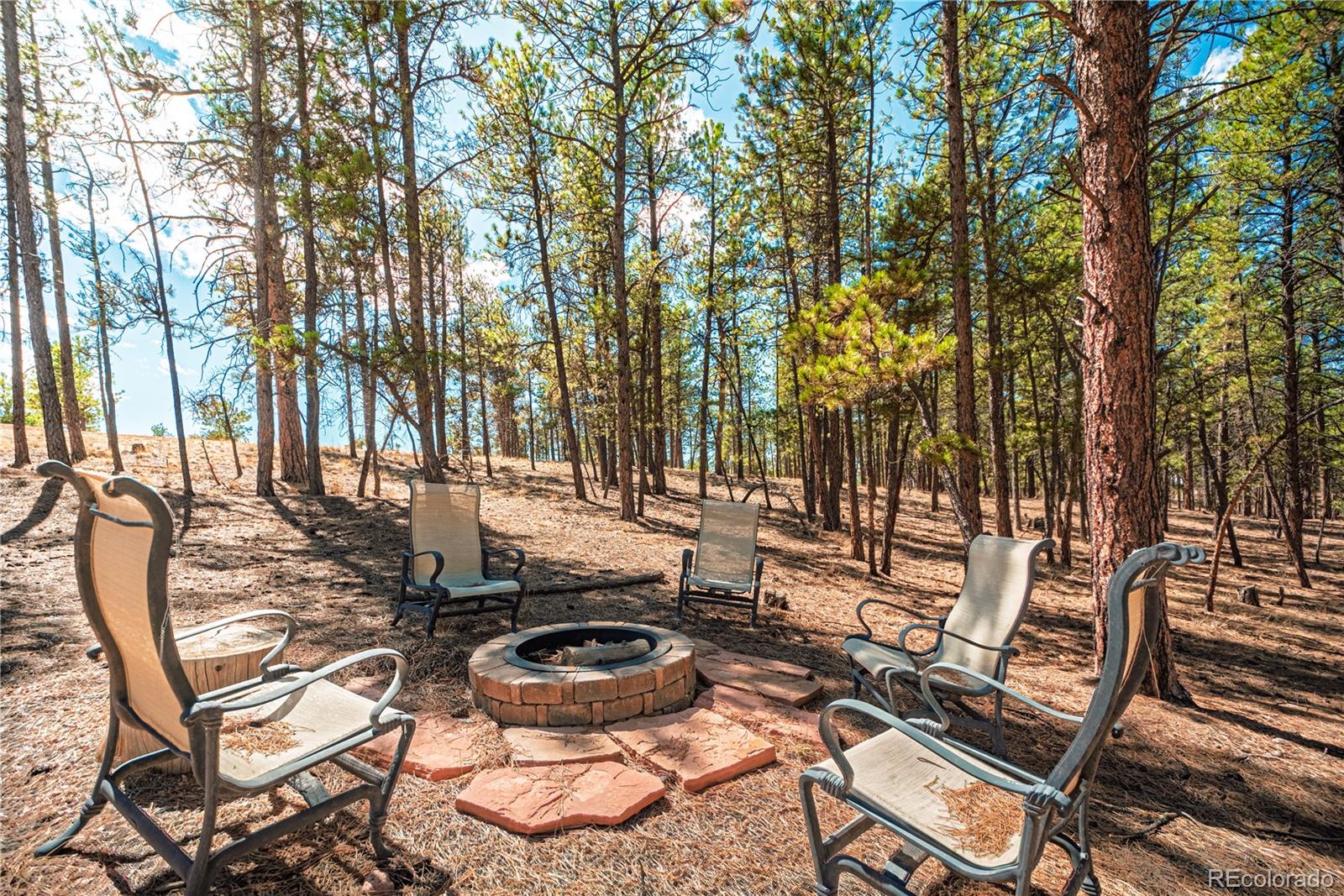 MLS Image #27 for 2675  pikes peak drive,florissant, Colorado