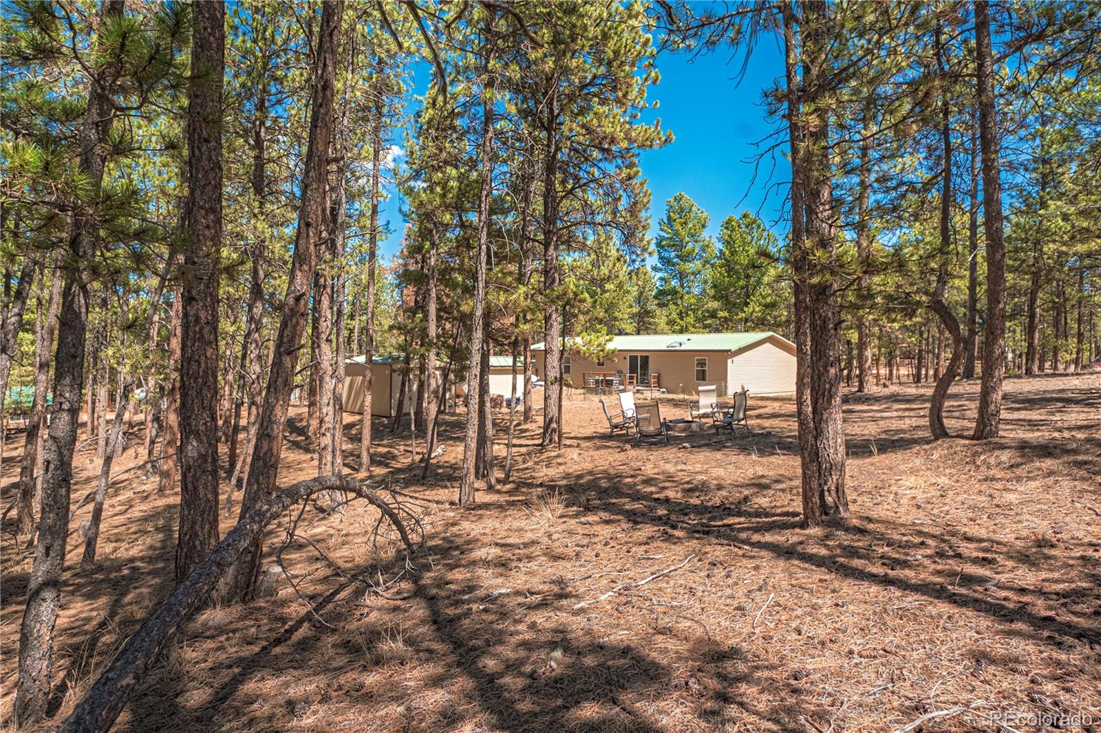 MLS Image #29 for 2675  pikes peak drive,florissant, Colorado