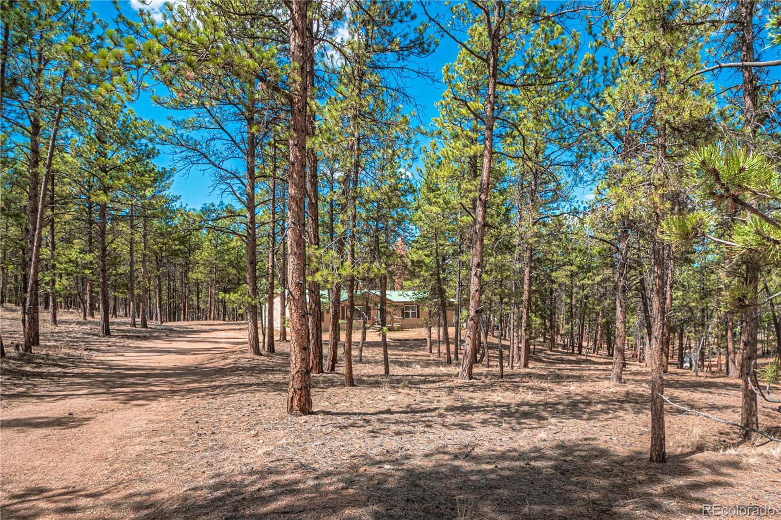 MLS Image #3 for 2675  pikes peak drive,florissant, Colorado