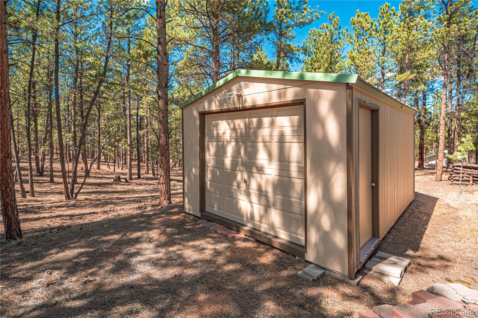 MLS Image #31 for 2675  pikes peak drive,florissant, Colorado