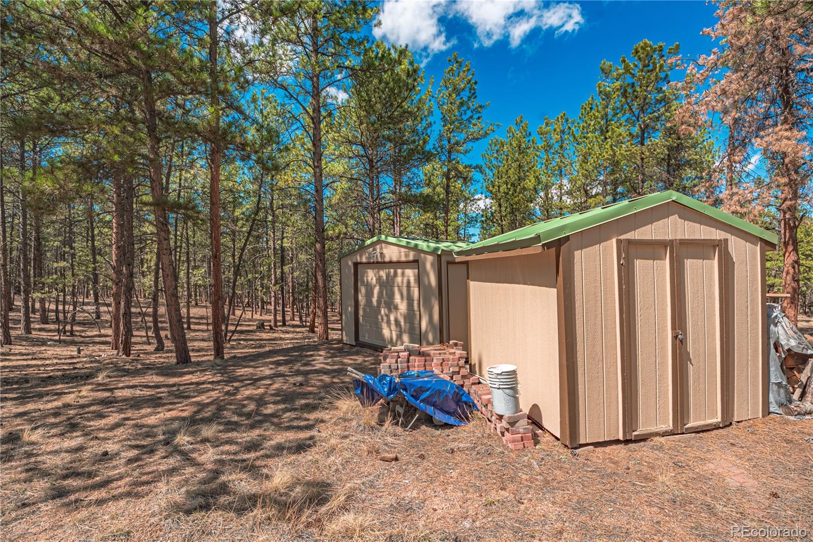 MLS Image #32 for 2675  pikes peak drive,florissant, Colorado