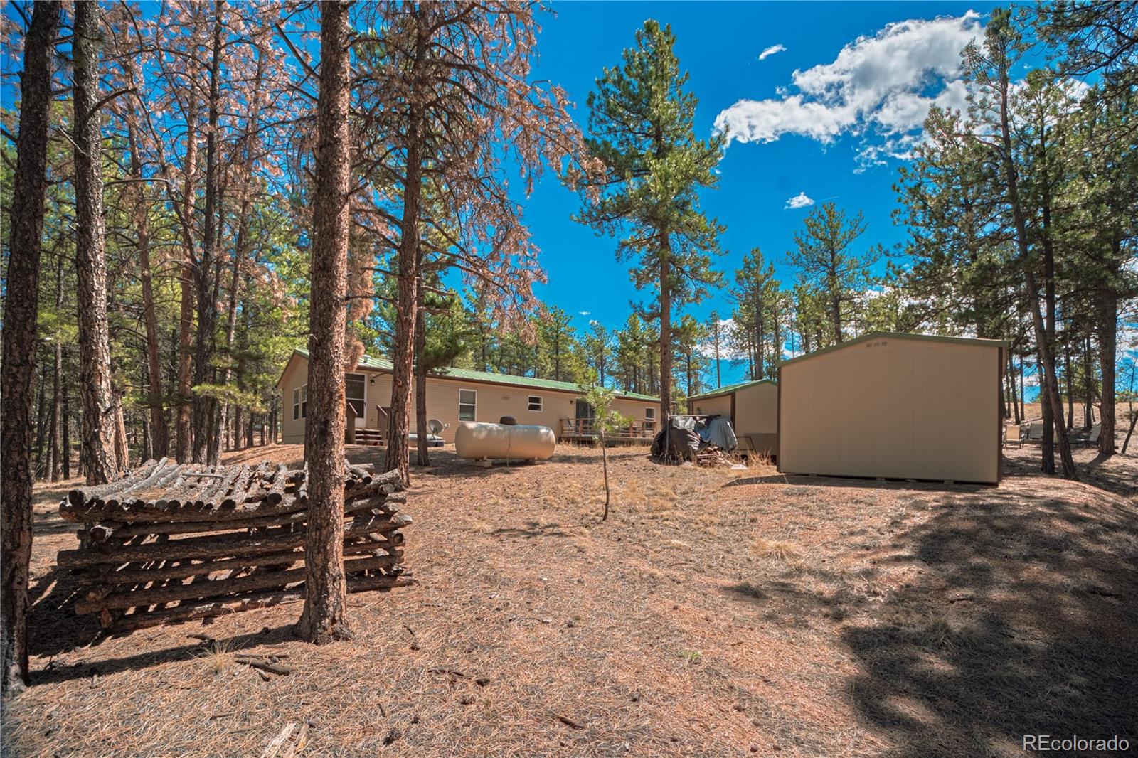 MLS Image #33 for 2675  pikes peak drive,florissant, Colorado