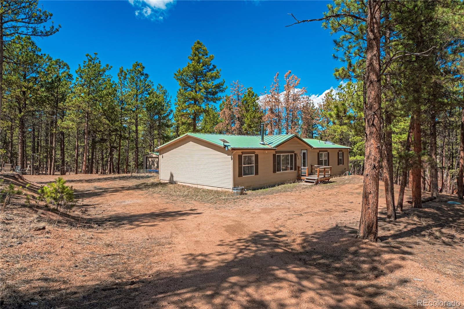 MLS Image #38 for 2675  pikes peak drive,florissant, Colorado