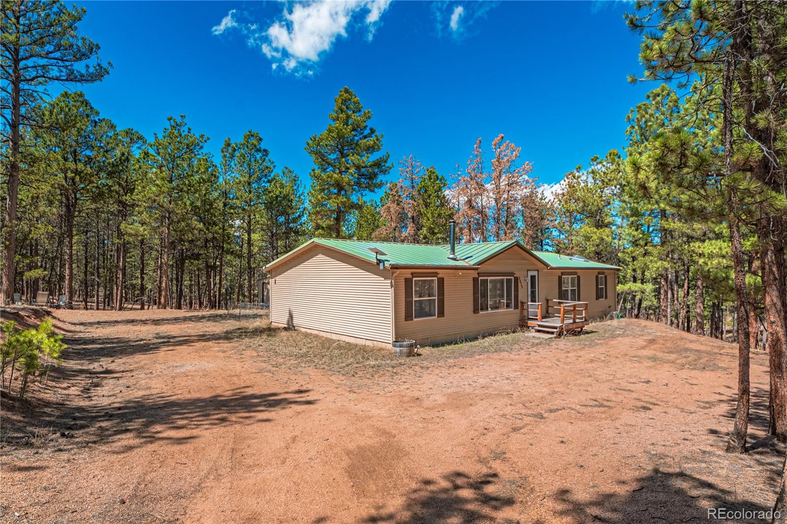 MLS Image #39 for 2675  pikes peak drive,florissant, Colorado