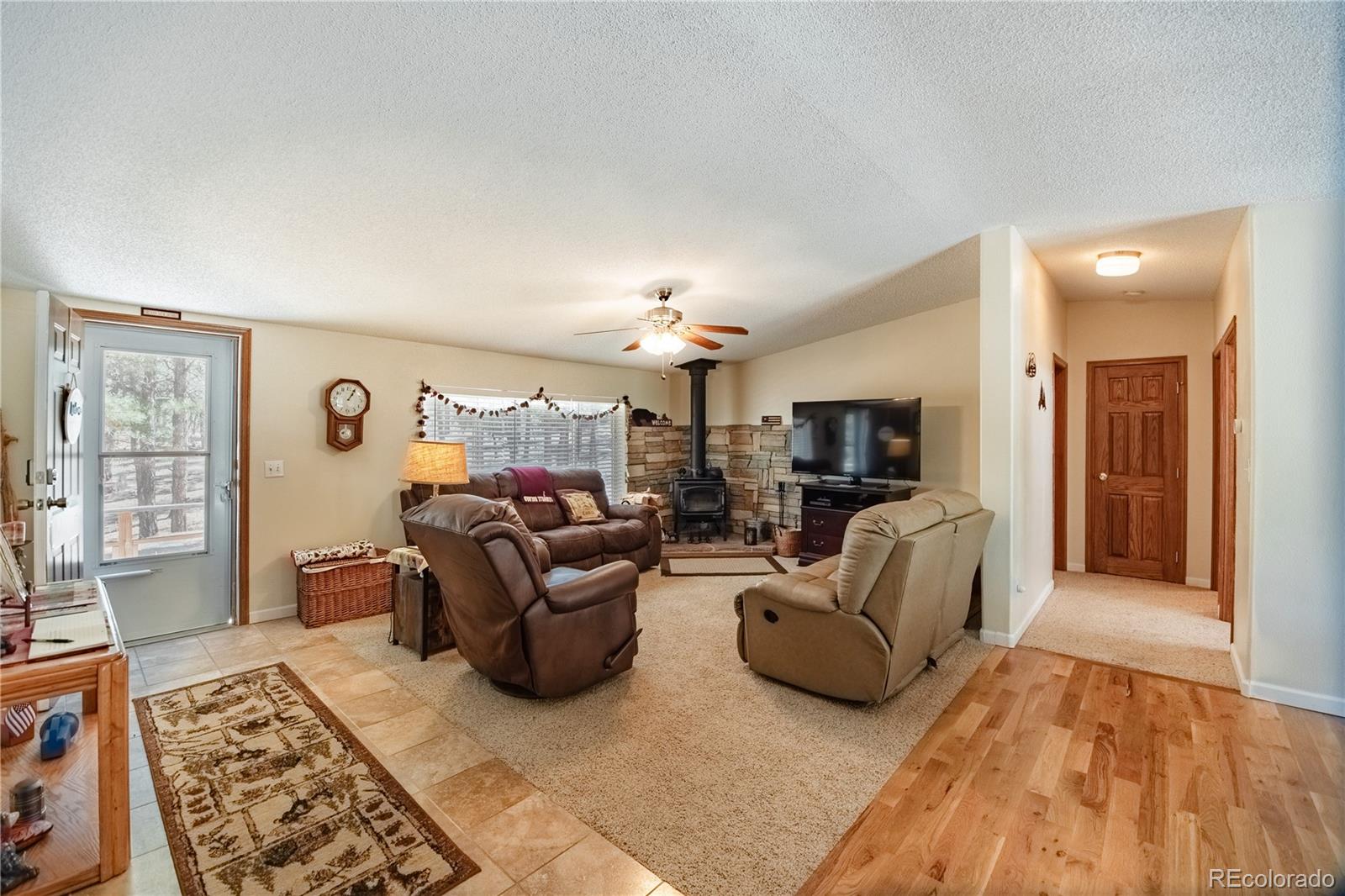 MLS Image #4 for 2675  pikes peak drive,florissant, Colorado