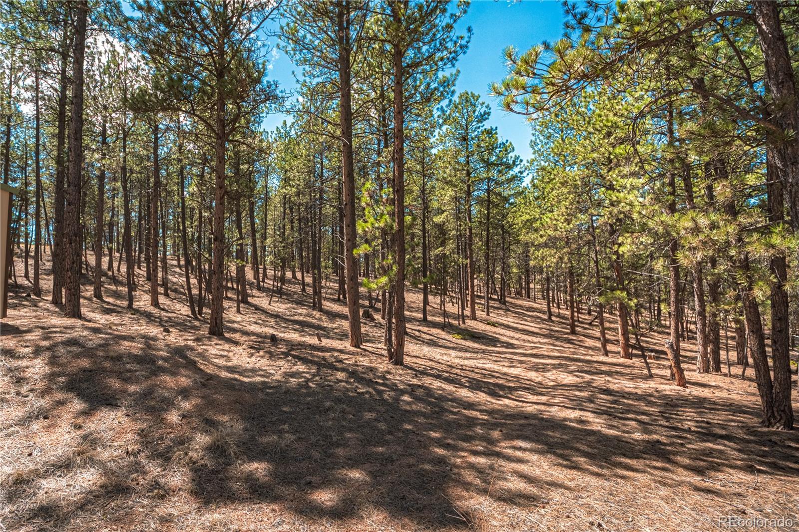 MLS Image #40 for 2675  pikes peak drive,florissant, Colorado
