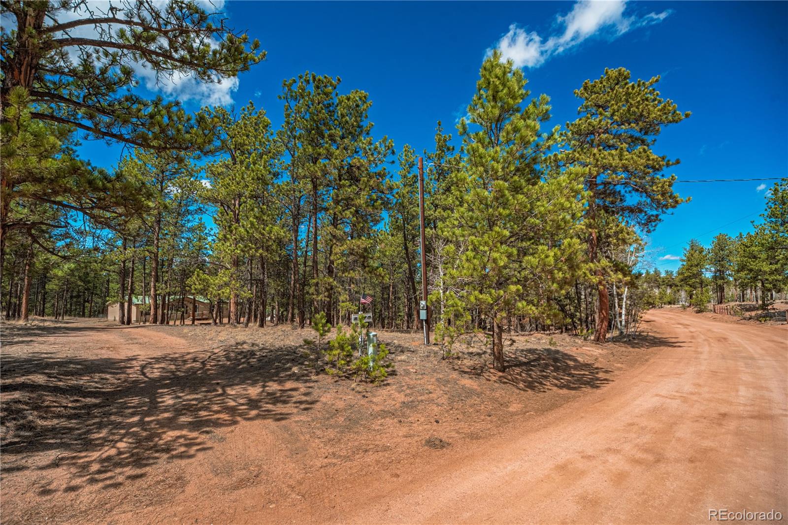 MLS Image #41 for 2675  pikes peak drive,florissant, Colorado
