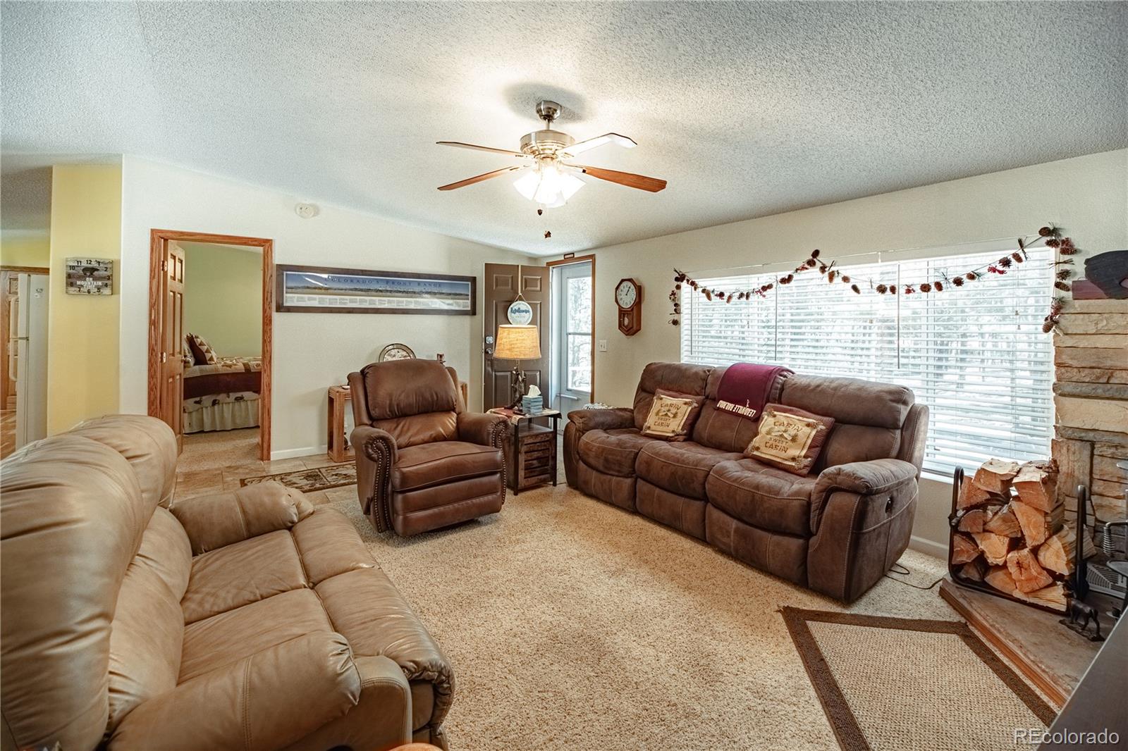 MLS Image #5 for 2675  pikes peak drive,florissant, Colorado