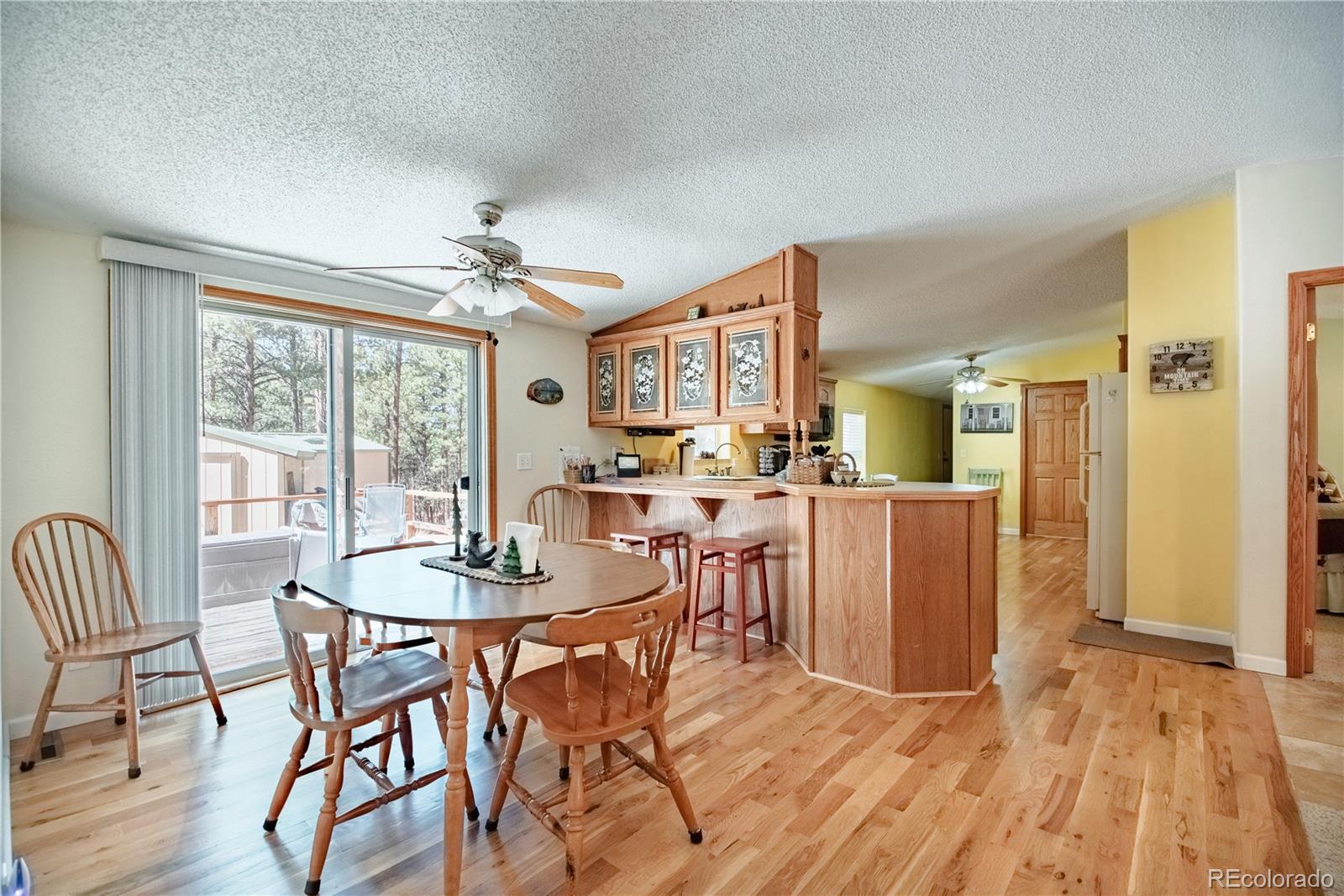 MLS Image #6 for 2675  pikes peak drive,florissant, Colorado