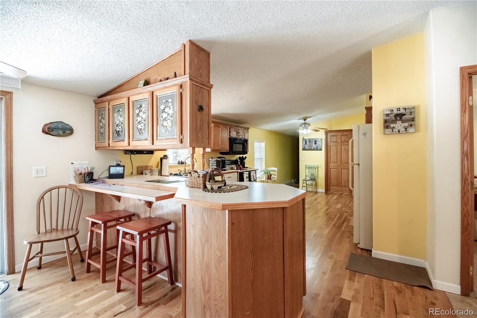 MLS Image #8 for 2675  pikes peak drive,florissant, Colorado