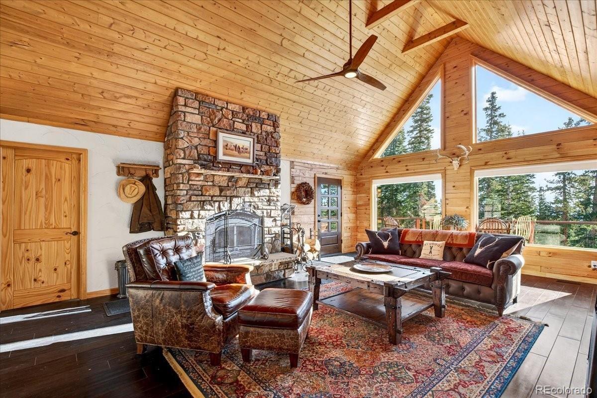 MLS Image #10 for 103  prunes place,fairplay, Colorado