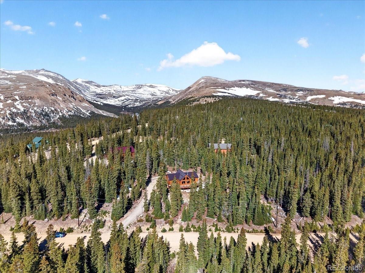 MLS Image #12 for 103  prunes place,fairplay, Colorado