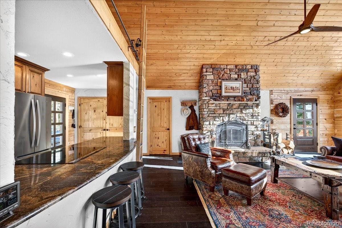 MLS Image #13 for 103  prunes place,fairplay, Colorado