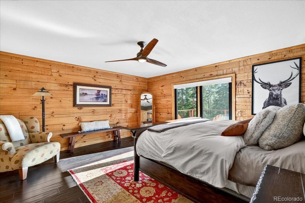 MLS Image #18 for 103  prunes place,fairplay, Colorado