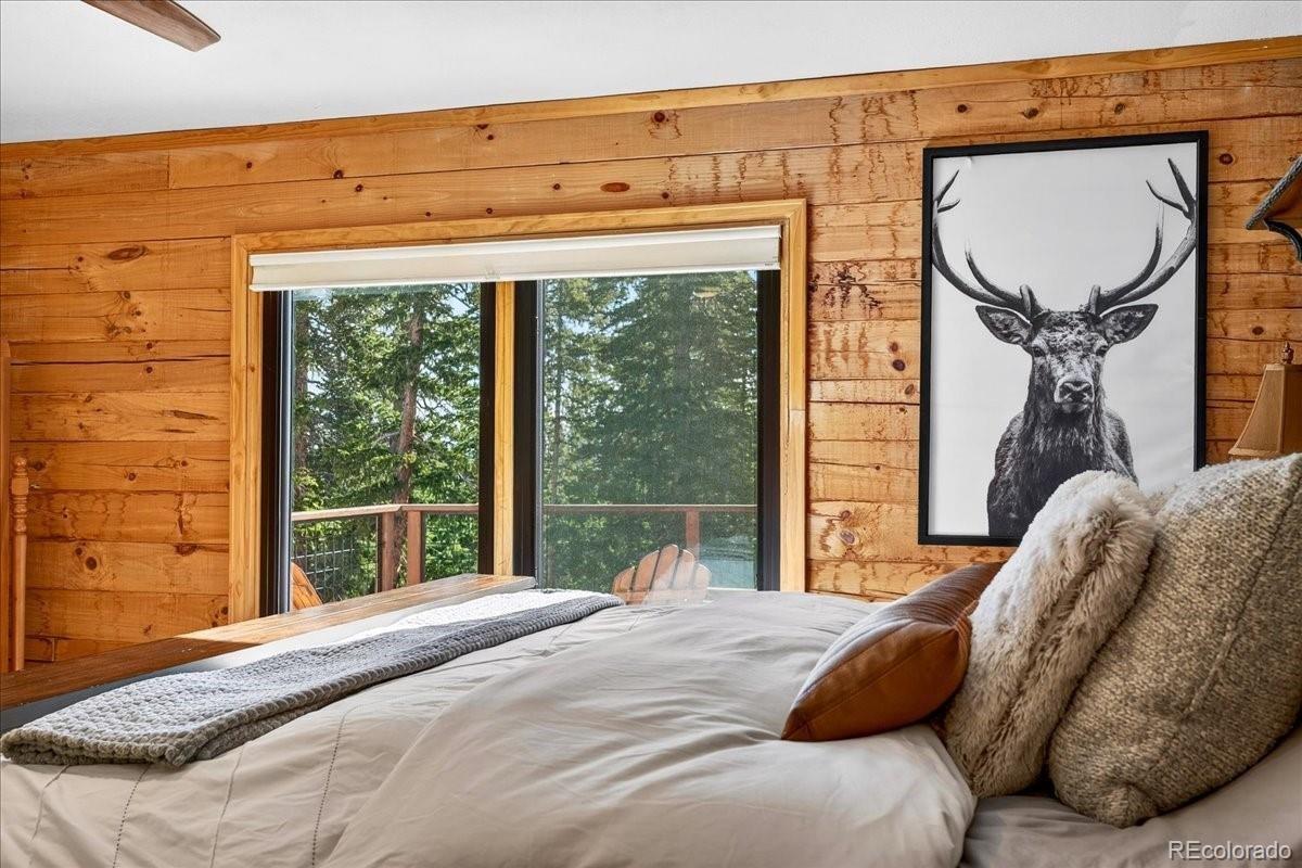 MLS Image #19 for 103  prunes place,fairplay, Colorado