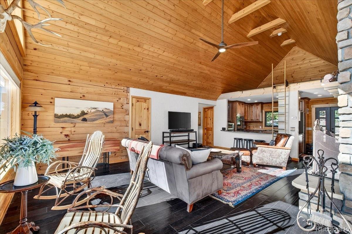 MLS Image #2 for 103  prunes place,fairplay, Colorado