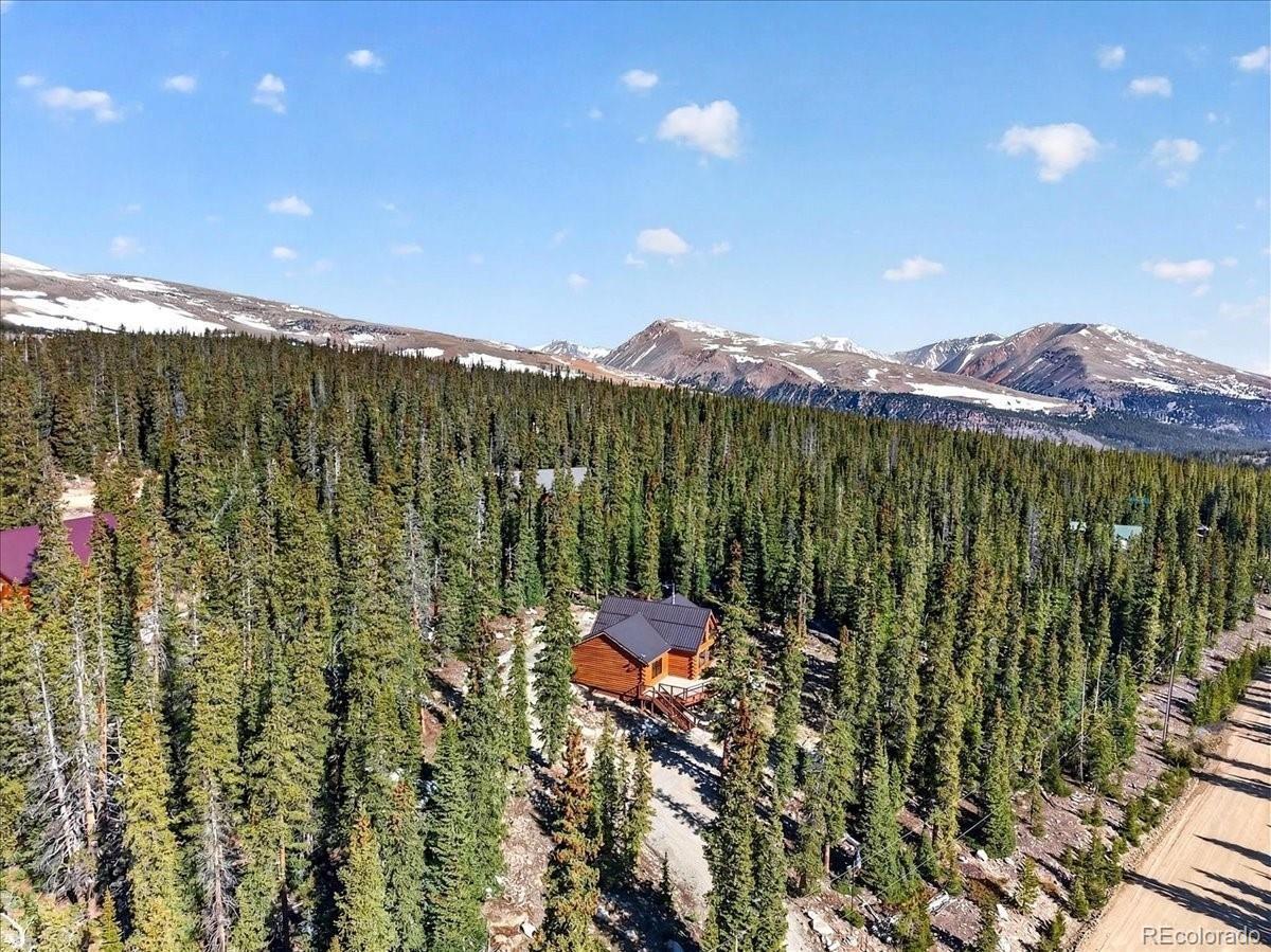 MLS Image #26 for 103  prunes place,fairplay, Colorado