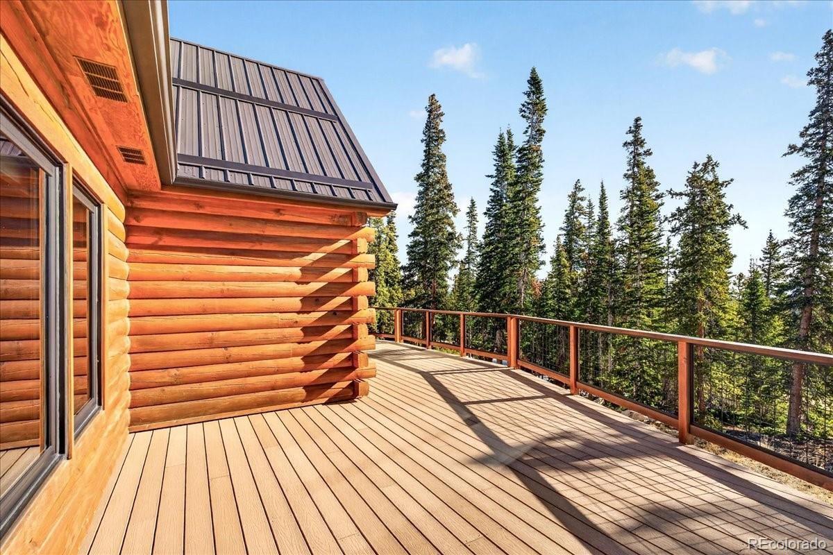 MLS Image #27 for 103  prunes place,fairplay, Colorado