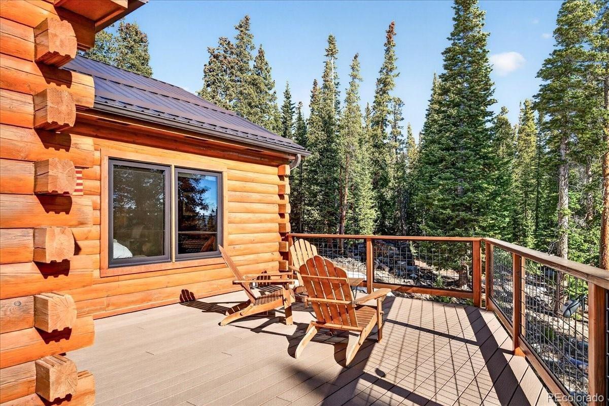 MLS Image #29 for 103  prunes place,fairplay, Colorado