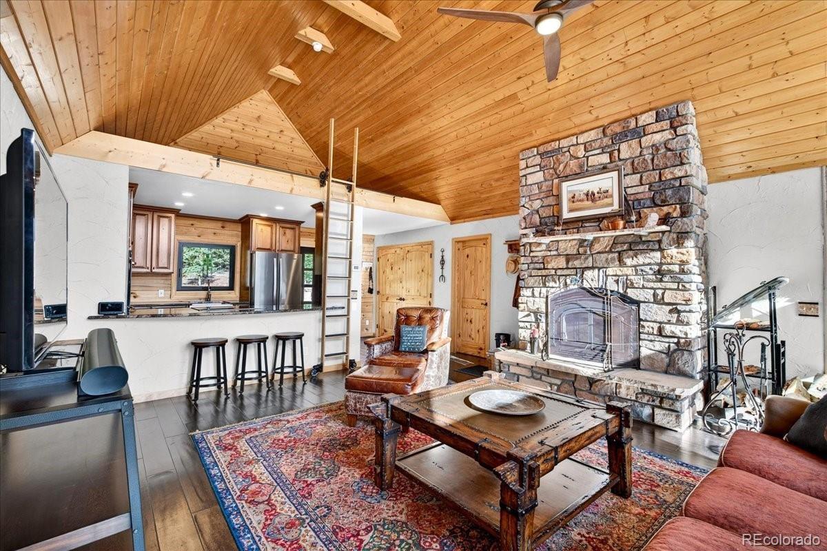 MLS Image #5 for 103  prunes place,fairplay, Colorado