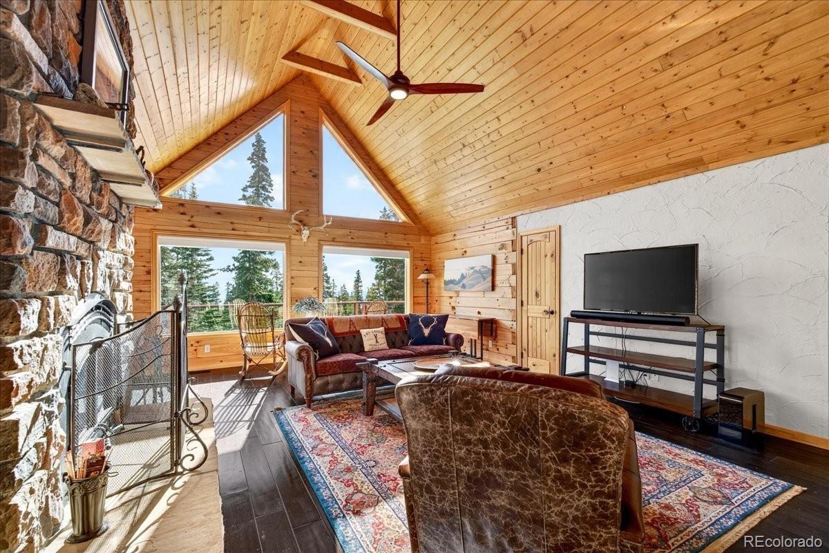 MLS Image #6 for 103  prunes place,fairplay, Colorado
