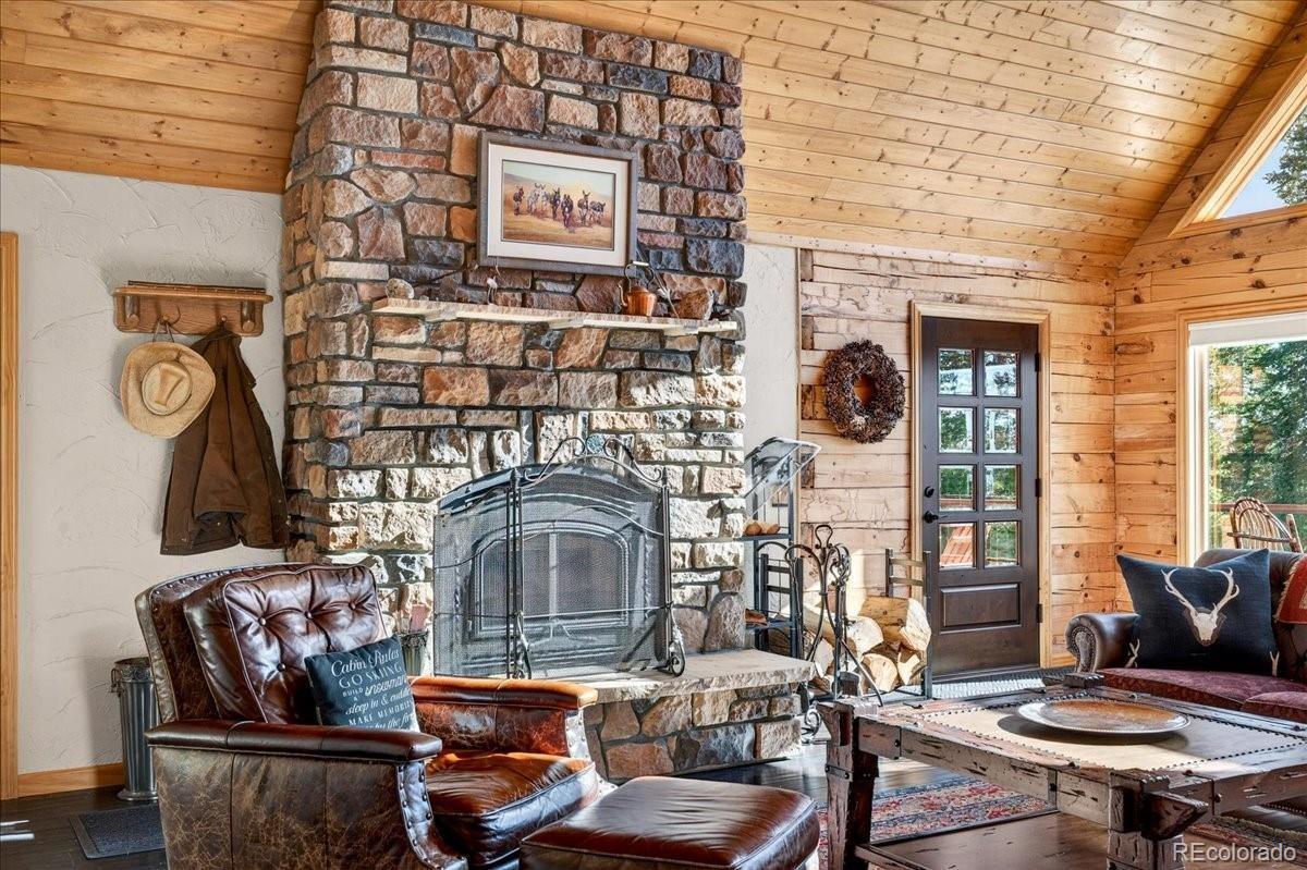 MLS Image #9 for 103  prunes place,fairplay, Colorado