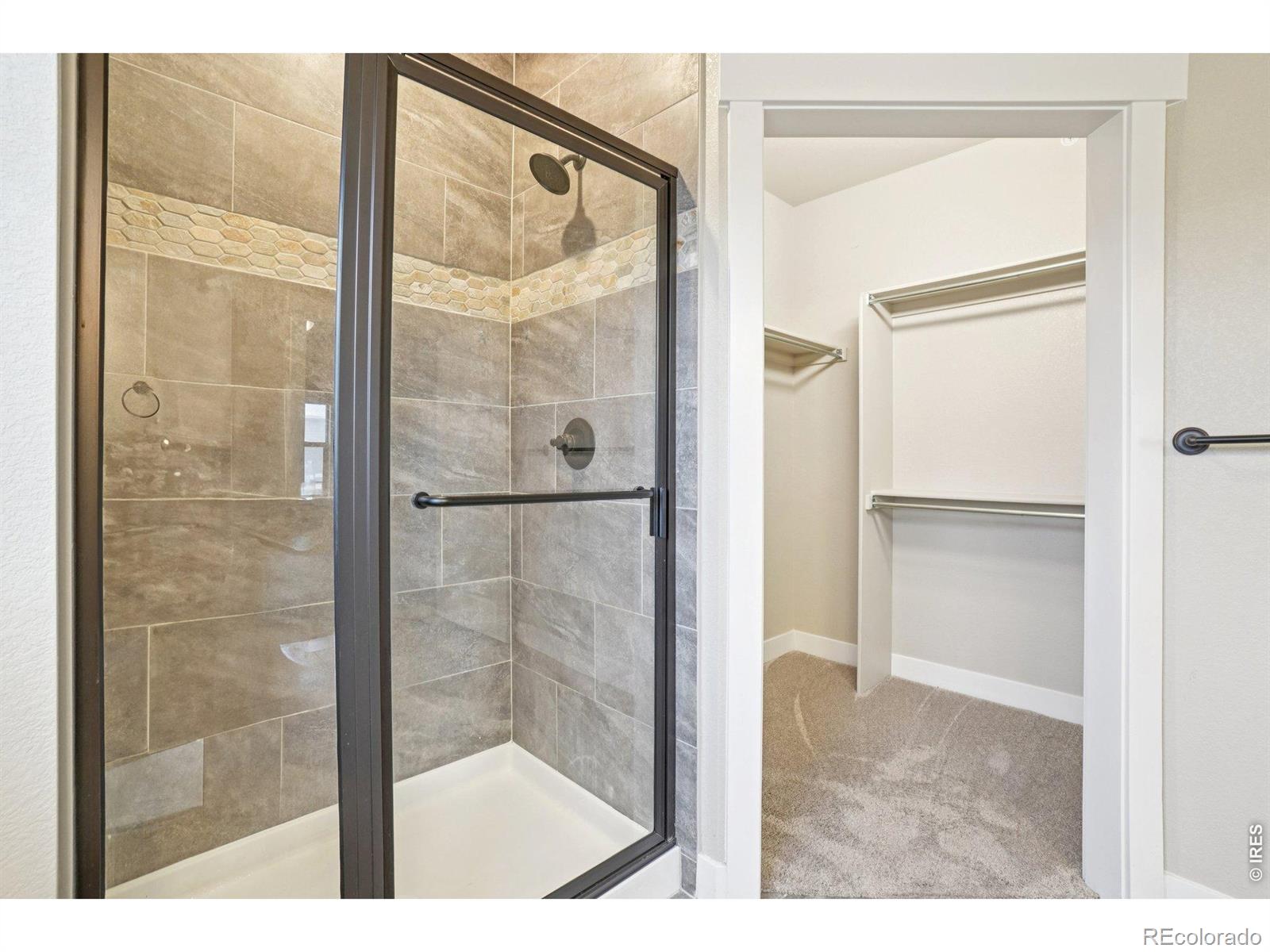 MLS Image #18 for 4612  hahns peak drive,loveland, Colorado